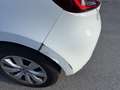 Renault Clio Fiskal!  LKW Zulassung!  N1 ! 2 Sitze!! Weiß - thumbnail 10