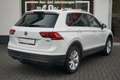 Volkswagen Tiguan 2.0 TSI DSG Comfortline 4 Motion LED AHK Bianco - thumbnail 6
