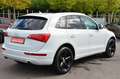 Audi Q5 2.0 S Line-Quat*Leder*PANORAMA*AHK*Xenon*TOP Weiß - thumbnail 5