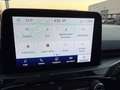 Ford Kuga Kuga 1.5 EcoBlue 120 CV aut. 2WD ST-Line Nero - thumbnail 14