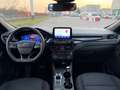 Ford Kuga Kuga 1.5 EcoBlue 120 CV aut. 2WD ST-Line Nero - thumbnail 6