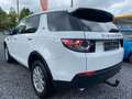 Land Rover Discovery Sport Pure White - thumbnail 4