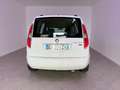 Skoda Roomster 1.2 12V 70CV Style Bianco - thumbnail 9