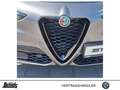 Alfa Romeo Stelvio 2.2D Q4 Veloce MY24 Premium-Audio-P. HARMAN/KARDON Grau - thumbnail 12