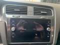 Volkswagen Golf Variant Golf Variant 1.6 tdi Executive 115cv dsg Grigio - thumbnail 8