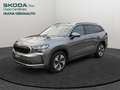 Skoda Kodiaq 2.0 TDI EVO SCR Executive 150 CV DSG 7 p.ti Grau - thumbnail 1