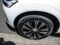 Volvo XC60 T6 AWD Inscription Plug-In  Harman/Kardon Weiß - thumbnail 5