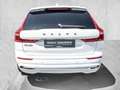 Volvo XC60 T6 AWD Inscription Plug-In  Harman/Kardon Weiß - thumbnail 4