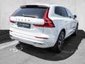 Volvo XC60 T6 AWD Inscription Plug-In  Harman/Kardon Weiß - thumbnail 3