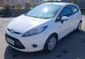 Ford Fiesta Fiesta 5p 1.4 tdci Weiß - thumbnail 11
