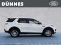 Land Rover Discovery Sport TD4 Pure Weiß - thumbnail 6