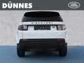 Land Rover Discovery Sport TD4 Pure Weiß - thumbnail 7