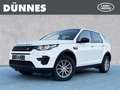 Land Rover Discovery Sport TD4 Pure Weiß - thumbnail 1