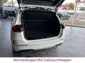 Mercedes-Benz B 200 AMG-LINE*Virtual*Navi*LED*Alcantara*AHK* Weiß - thumbnail 8