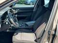 Alfa Romeo Stelvio 2.2 t Executive Q4 210cv auto my19 Bronzo - thumbnail 7