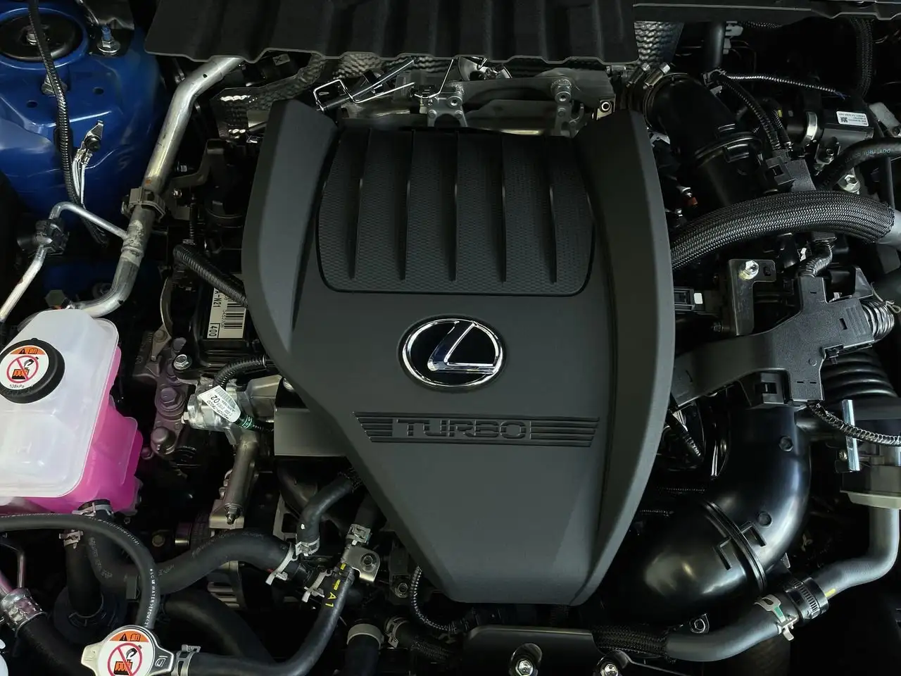 Lexus NX fotografie Lexus NX