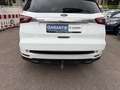 Ford S-Max S-MAX Titanium AWD 4x4 Automatik Diesel Blanco - thumbnail 23