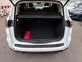 Ford S-Max S-MAX Titanium AWD 4x4 Automatik Diesel Blanco - thumbnail 27