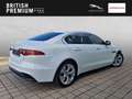 Jaguar XE S D200 Mild-Hybrid DAB Ambiente 360° Blanc - thumbnail 2