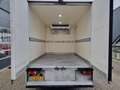 Renault Master 2.3 CDTI Kuhlkoffer Thermoking V500MAX +20C / -20C Wit - thumbnail 30
