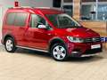 Volkswagen Caddy -Alltrack-DSG-Behindertengerecht-Rampe Rojo - thumbnail 16