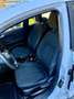 Ford Fiesta Trend Klima Kamera Sitzheizung 8-fach Weiß - thumbnail 10