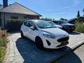 Ford Fiesta Trend Klima Kamera Sitzheizung 8-fach Weiß - thumbnail 3