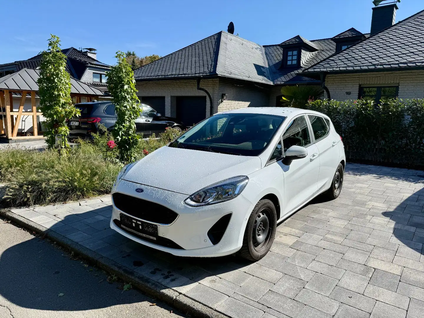 Ford Fiesta Trend Klima Kamera Sitzheizung 8-fach Weiß - 1