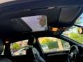 Audi Q5 2.0 TDI quattro 170cv s-tronic Tetto Apribile - thumbnail 3