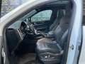 Porsche Cayenne Cayenne Coupe 3.0 tiptronic TETTO/HEADUP/22/360/5p Blanco - thumbnail 9