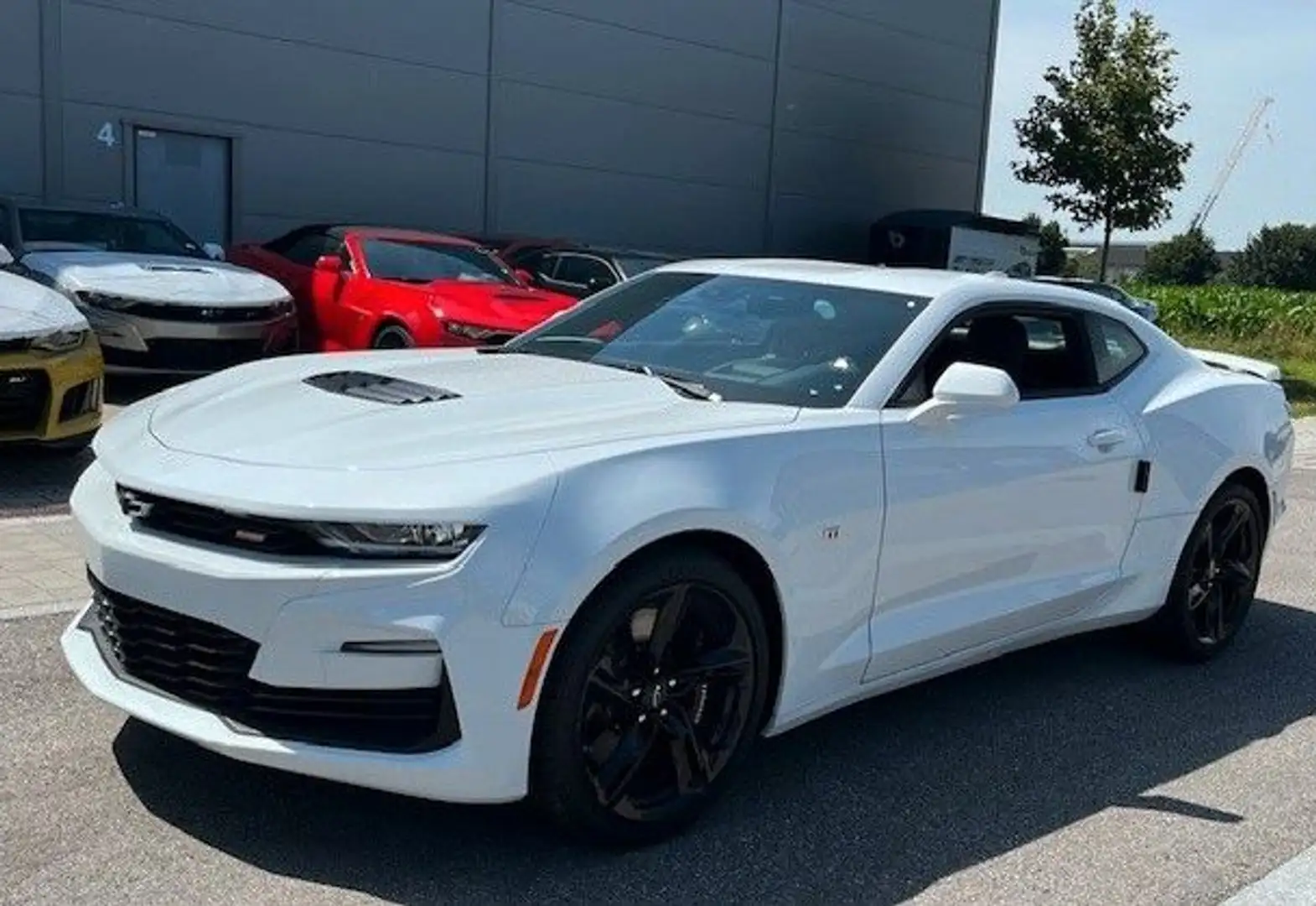 Chevrolet Camaro Coupe SS 6.2 V8 Klappe-Recaro 3.99% Weiß - 1