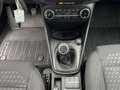 Ford Fiesta Titanium 5-tg, GARANTIE+LED+ACC+NAVI+DAB+KAMERA+PD Zilver - thumbnail 10