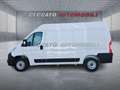 Fiat Ducato Ducato Serie 2 Furgone Lastrato 30q Mh2 12 Weiß - thumbnail 2