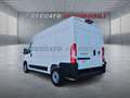 Fiat Ducato Ducato Serie 2 Furgone Lastrato 30q Mh2 12 Weiß - thumbnail 3