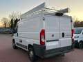 Fiat Ducato 2,0 Kasten L1H1 *NAVI*PDC+Cam*1HAND*AHK Weiß - thumbnail 5