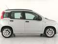 Fiat Panda 1.3 mjt 16v easy 75cv Silver - thumbnail 4