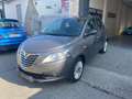 Lancia Ypsilon Ypsilon 1.2 8v Gold c/CL ecochic Gpl 69cv Grigio - thumbnail 2