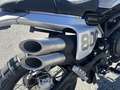 Benelli Leoncino Leoncino 800 Trail - thumbnail 3