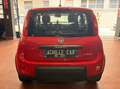 Fiat Panda VAN 1.0 hybrid City Ok neopatentati *PREZZO REALE* Rosso - thumbnail 6