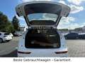 Audi Q5 40 TDI quattro S line*Matrix*Navi*AHK*Alcanta Weiß - thumbnail 14
