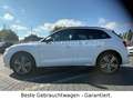 Audi Q5 40 TDI quattro S line*Matrix*Navi*AHK*Alcanta Weiß - thumbnail 4
