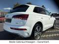 Audi Q5 40 TDI quattro S line*Matrix*Navi*AHK*Alcanta Weiß - thumbnail 7