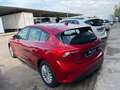 Ford Focus 1.0 Ecoboost Trend 100 Rojo - thumbnail 5