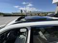 Jeep Compass Compass II 1.6 mjt Limited 2wd 120cv my19 TETTO Blanc - thumbnail 17