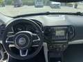 Jeep Compass Compass II 1.6 mjt Limited 2wd 120cv my19 TETTO Blanc - thumbnail 14