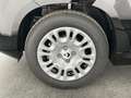Fiat Panda Pandina Icon (Pandina Icon) 1.0 Mild-Hybrid (65... Schwarz - thumbnail 11