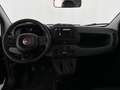 Fiat Panda Pandina Icon (Pandina Icon) 1.0 Mild-Hybrid (65... Schwarz - thumbnail 15