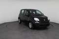 Fiat Panda Pandina Icon (Pandina Icon) 1.0 Mild-Hybrid (65... Schwarz - thumbnail 10