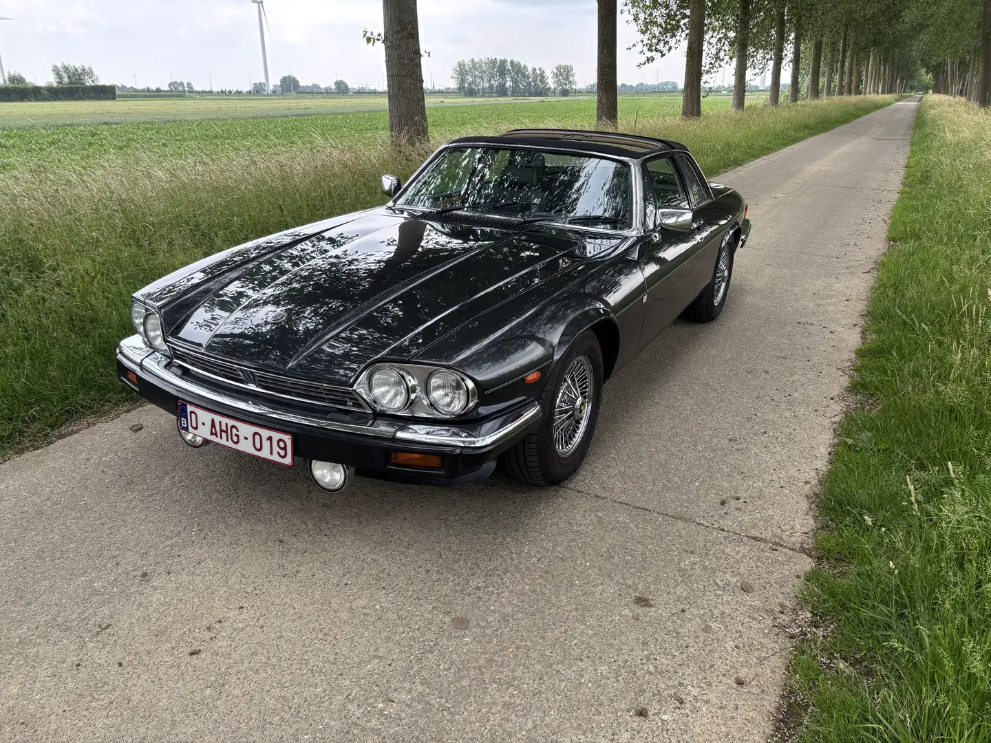 Jaguar XJSC tarag dak , manuele versnellingsbak Gris - 2