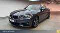 BMW 230 i Cabrio A Navi Prof,M-Sport,M-Sport,Xe,H&K Gris - thumbnail 1
